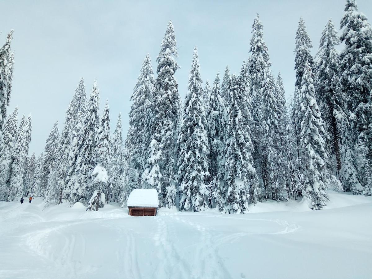 Ferienwohnungen Muhr Bodenmais Exterior foto